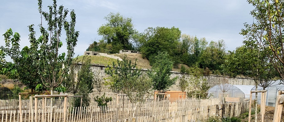 La forêt comestible et les serres de la ferme urbaine avec une vue sur le Fort.