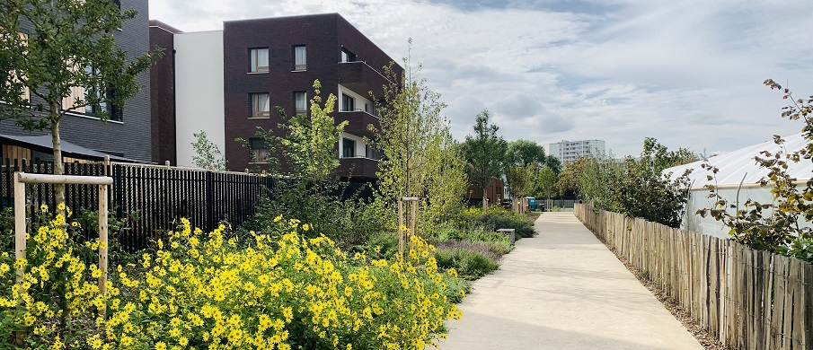 La promenade publique du parc du Glacis à Saint Denis est fleurie et arborées. Elle longe les serres de la ferme urbaine et les batiments du nouveau quartier.